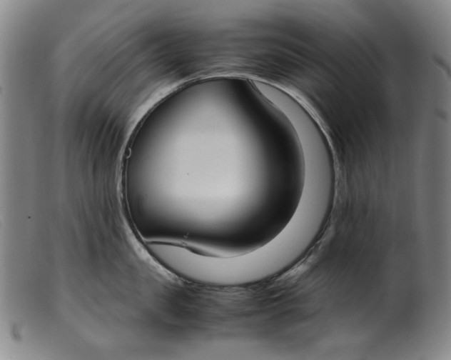 X0000099400957200805221852