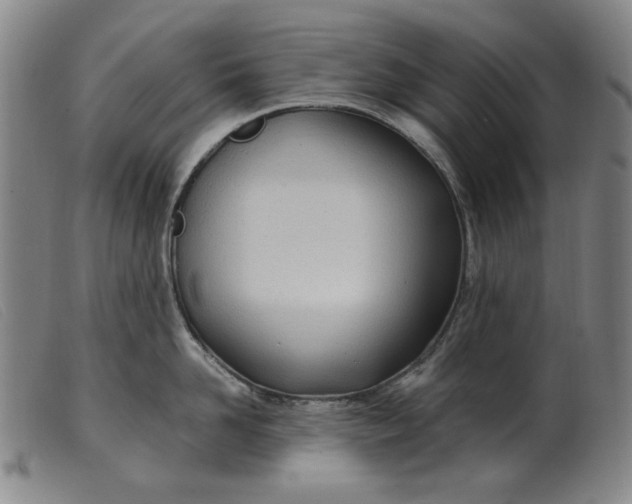 X0000099400958200805221852