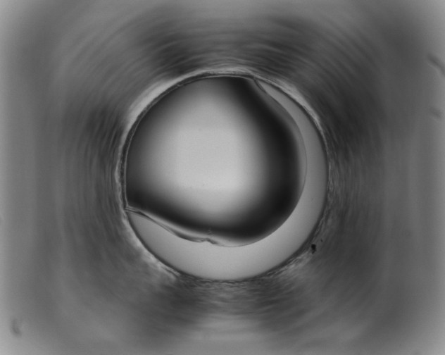 X0000099400959200805221852