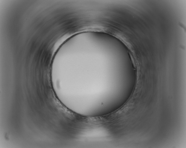 X0000099400960200805221852