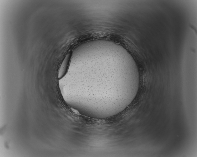 X0000099400961200805221852