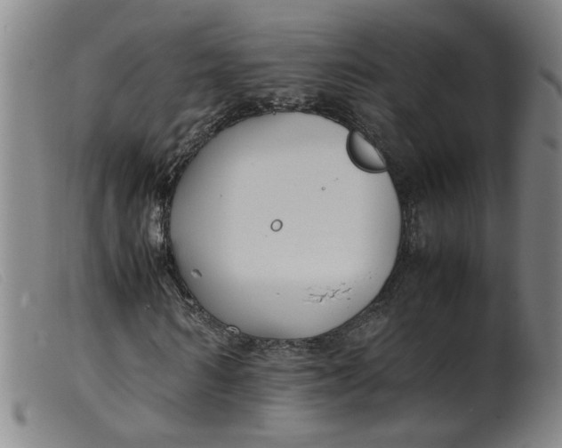 X0000099400962200805221852