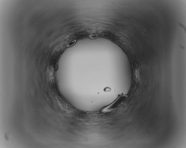 X0000099400963200805221852