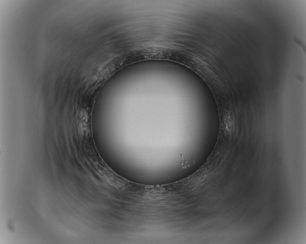 X0000099400964200805221852