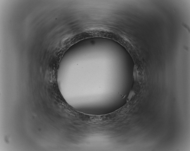 X0000099400965200805221852