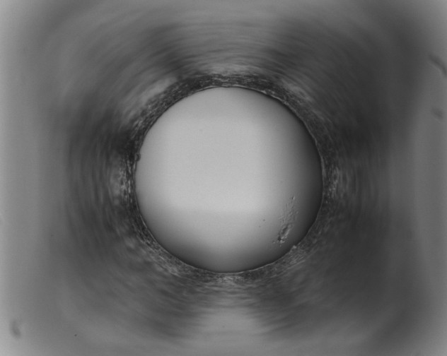 X0000099400966200805221852