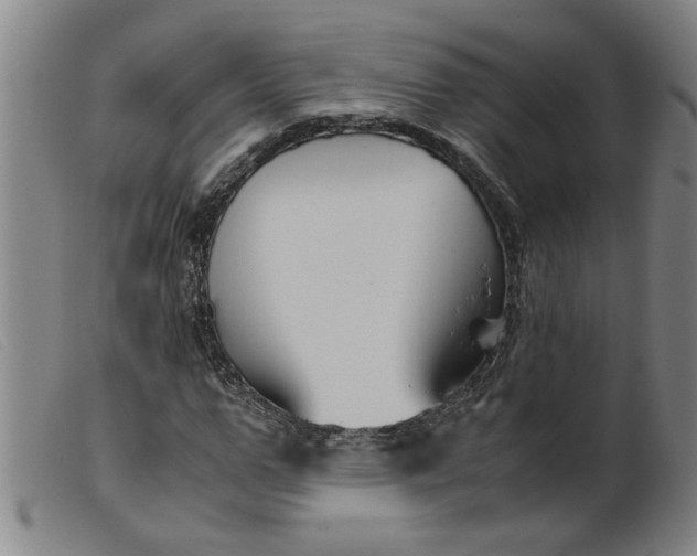 X0000099400967200805221852