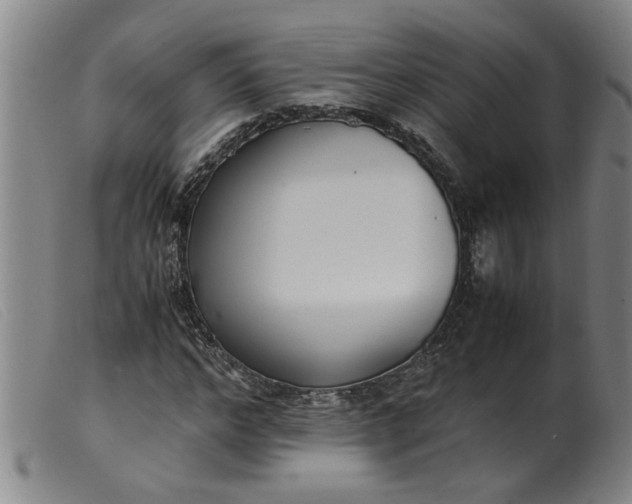 X0000099400968200805221852