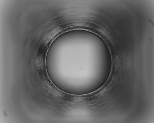 X0000099400969200805221852