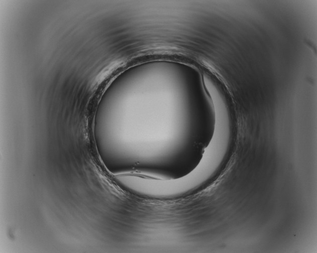 X0000099400970200805221852