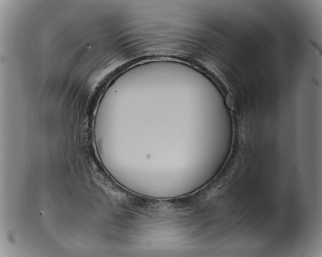 X0000099400971200805221852