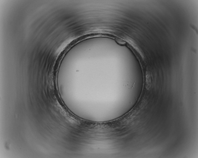 X0000099400972200805221852