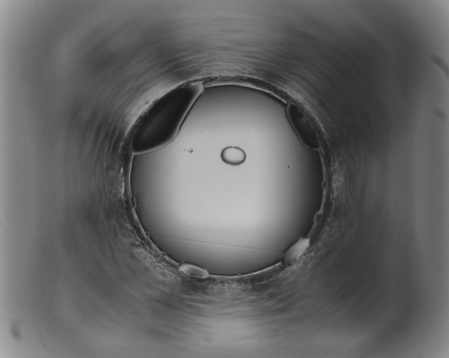 X0000099400973200805221852