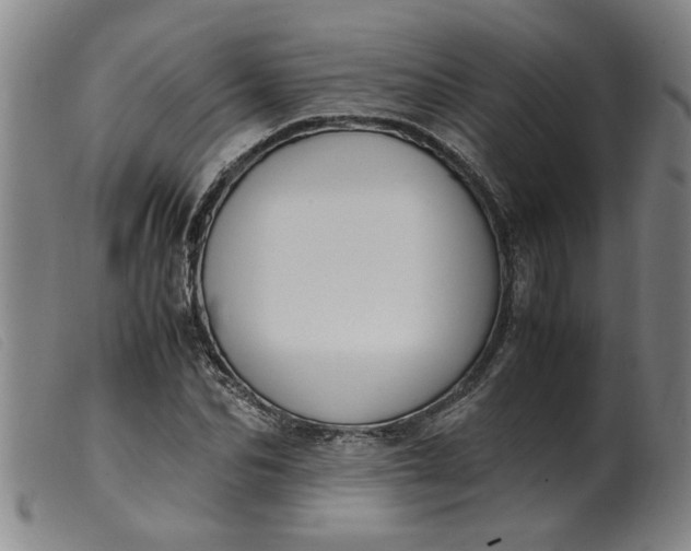 X0000099400974200805221852