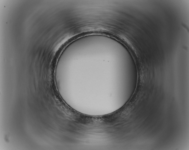 X0000099400975200805221852