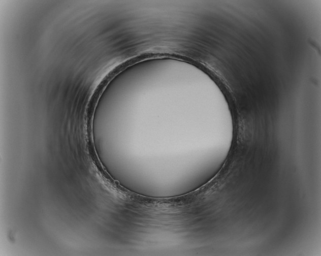 X0000099400976200805221852