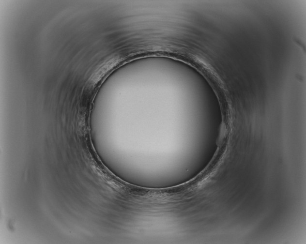 X0000099400977200805221852