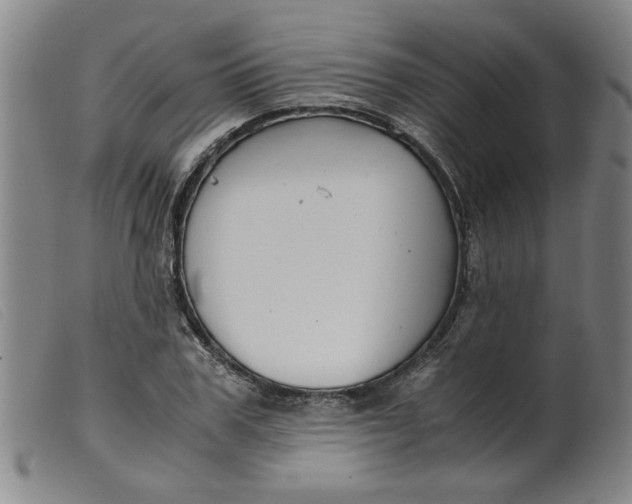 X0000099400979200805221852