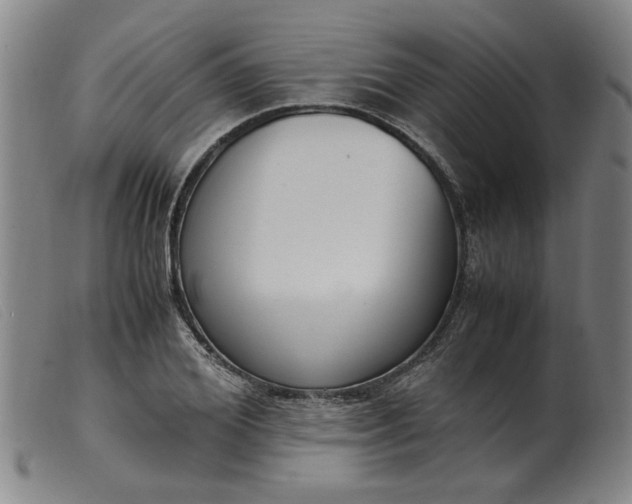 X0000099400980200805221852