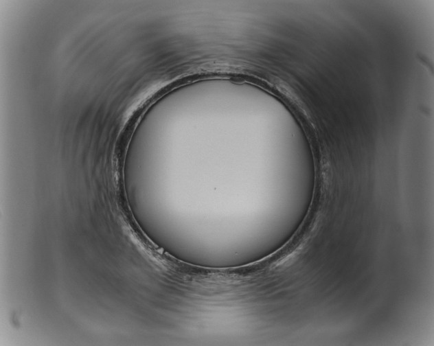 X0000099400981200805221852