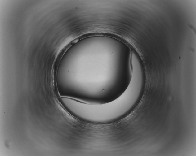 X0000099400982200805221851