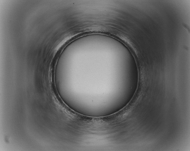 X0000099400983200805221851