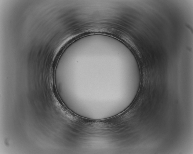 X0000099400984200805221851