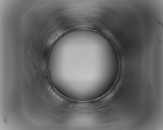 X0000099400985200805221851