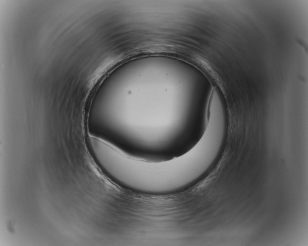 X0000099400986200805221851