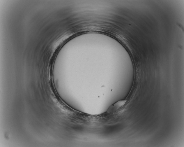 X0000099400987200805221851