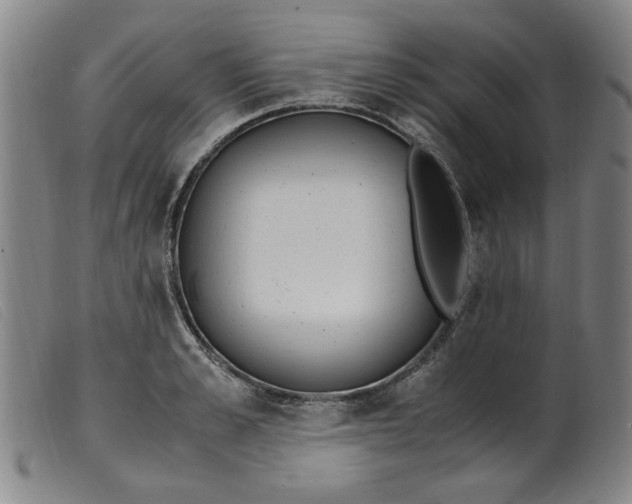 X0000099400989200805221851