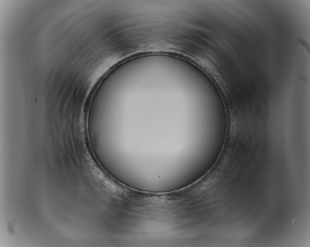 X0000099400990200805221851