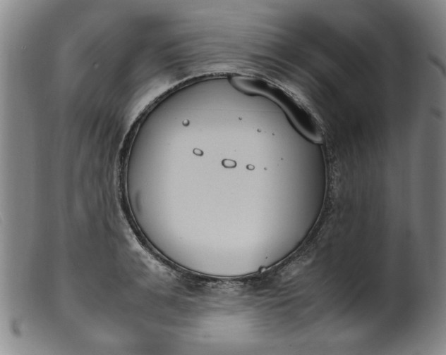 X0000099400991200805221851