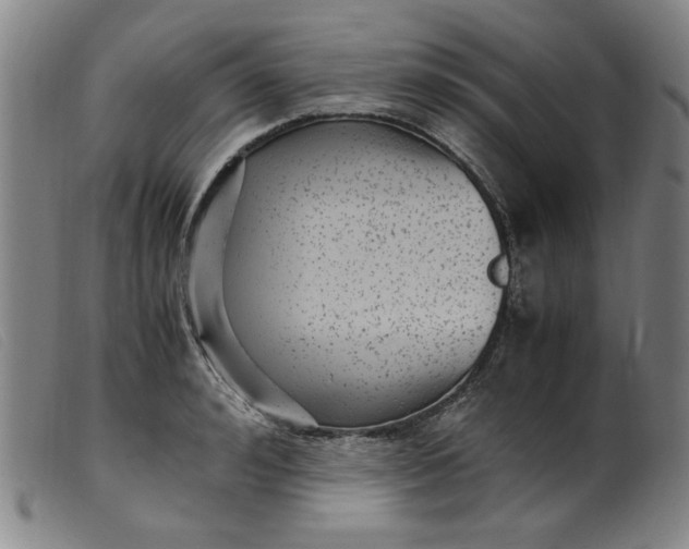 X0000099400992200805221851