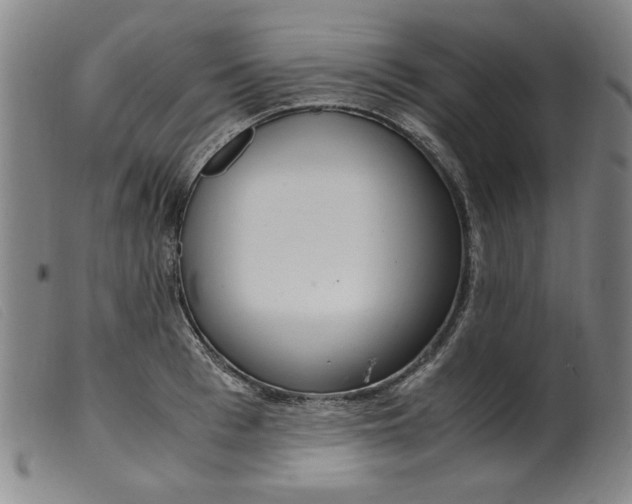 X0000099400993200805221851