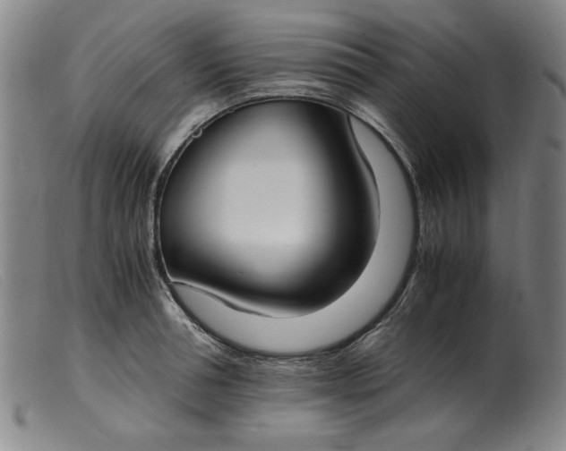 X0000099400994200805221851