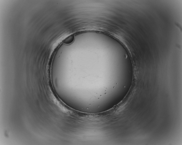 X0000099400995200805221851