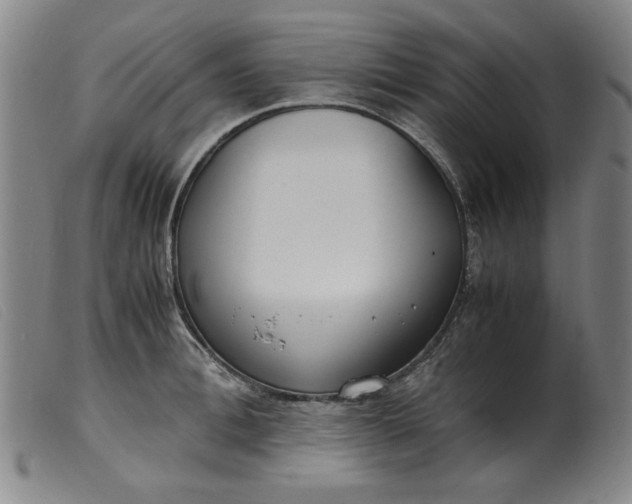 X0000099400996200805221851