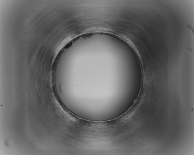 X0000099400997200805221851