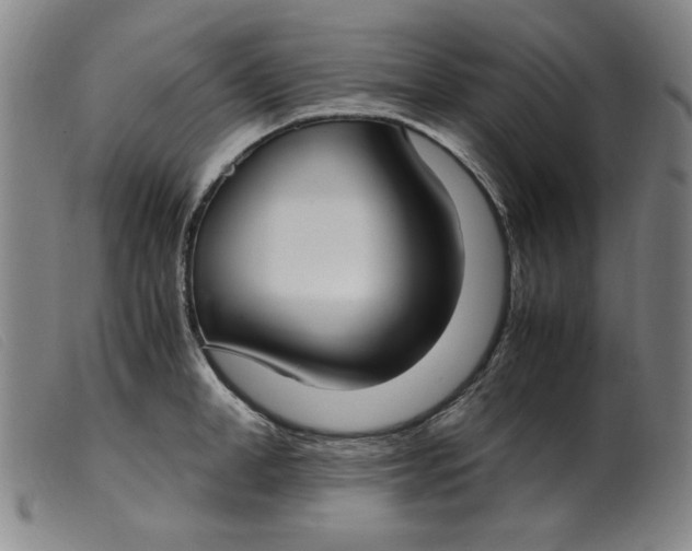 X0000099400998200805221851