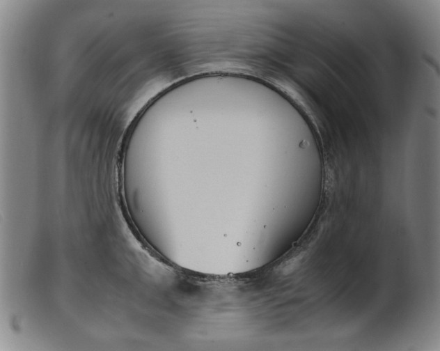 X0000099400999200805221851