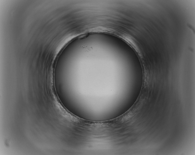 X0000099401000200805221851