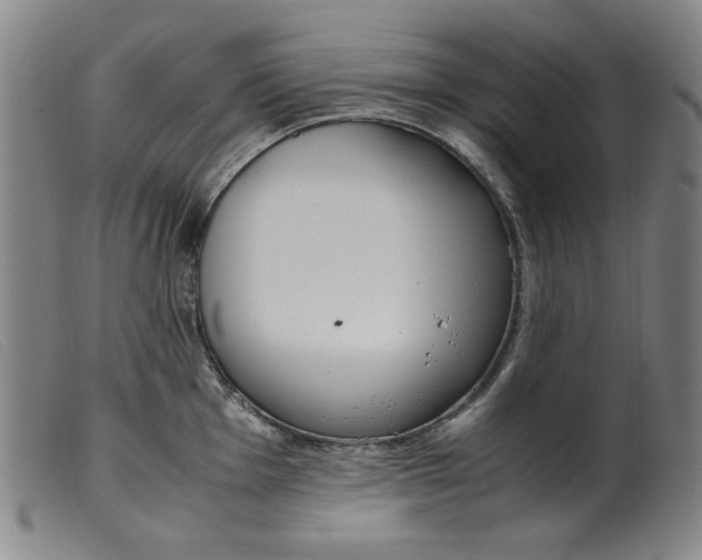 X0000099401001200805221851