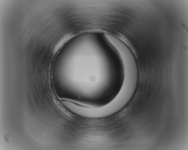 X0000099401002200805221851