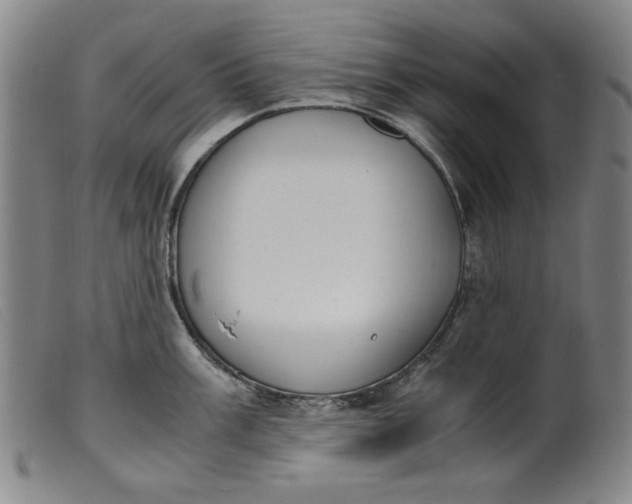 X0000099401003200805221851