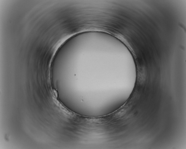 X0000099401004200805221851