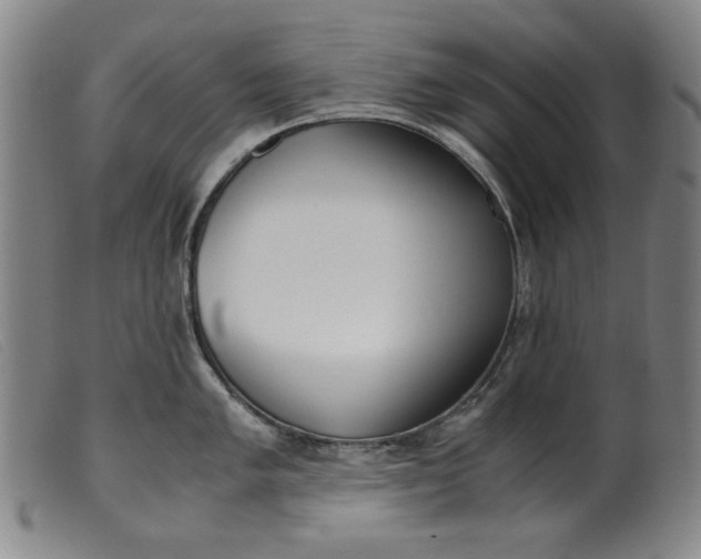 X0000099401005200805221851