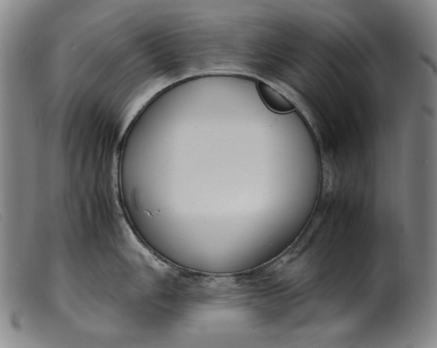 X0000099401006200805221851