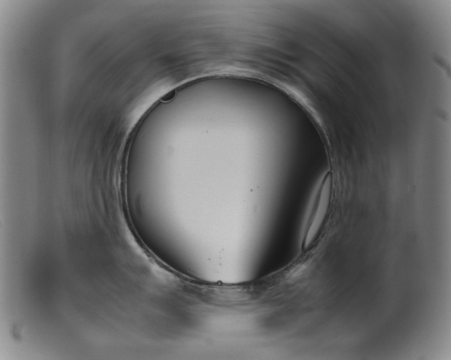 X0000099401007200805221851