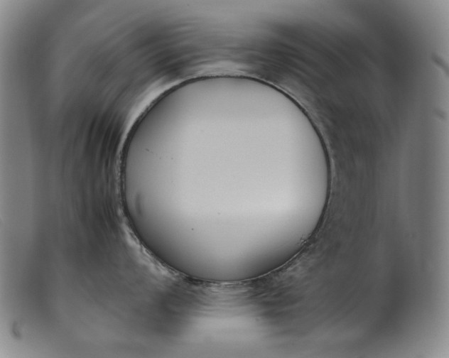 X0000099401008200805221851